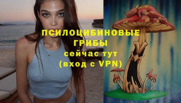 герыч Бугульма