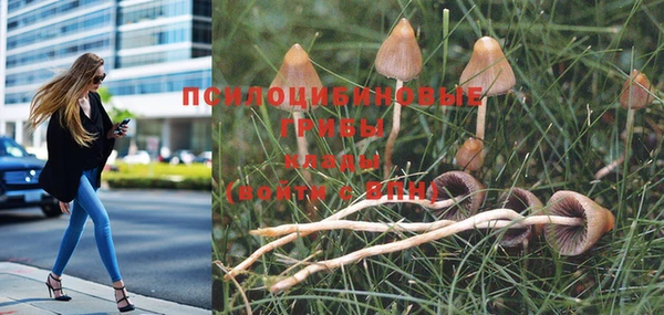 герыч Бугульма