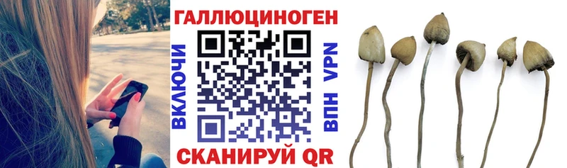 Галлюциногенные грибы GOLDEN TEACHER  наркота  Саратов 